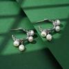 Elegant Irregular Baroque Pearl Tassel Earrings with 925 Silver Stud for Women