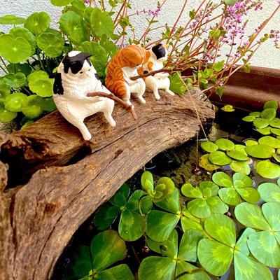 Vissen Kat Ornamenten Aquarium Decoratie Vis Landschapsarchitectuur Cartoon Kat Standbeeld Mini Hars Beeldje Home Decoraties
