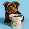 Cute Pet High Foot Bowl Ceramic Pet Drinking Feeder Pet Supplies Cat Bowl  Kitten Puppy