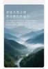 Mengjie Home Textile Class A Antibacterial 100% Silk Quilt