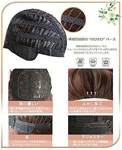 Limakara Wig, Medium Straight, Inner Color, Natural-Looking Wig, Full Wig, Semi-Long, Layered, Women's Wig with Net (Brown or Blue)