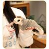 Realistic Sugar Glider Plush Toy With Magnetic Limbs Stuffed Animal Gift For Kids