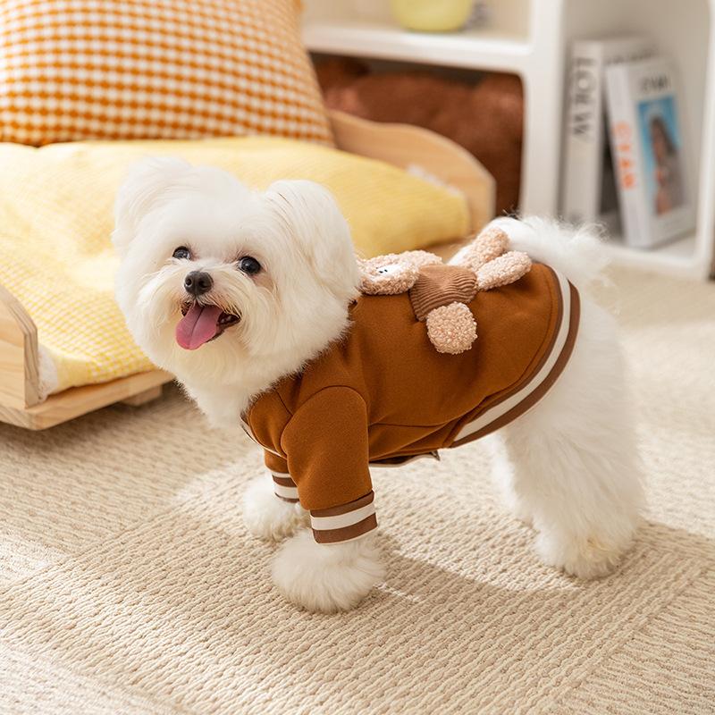 Spring cute bear dog clothes autumn and winter warm teddy dog bipods cat pet clothing