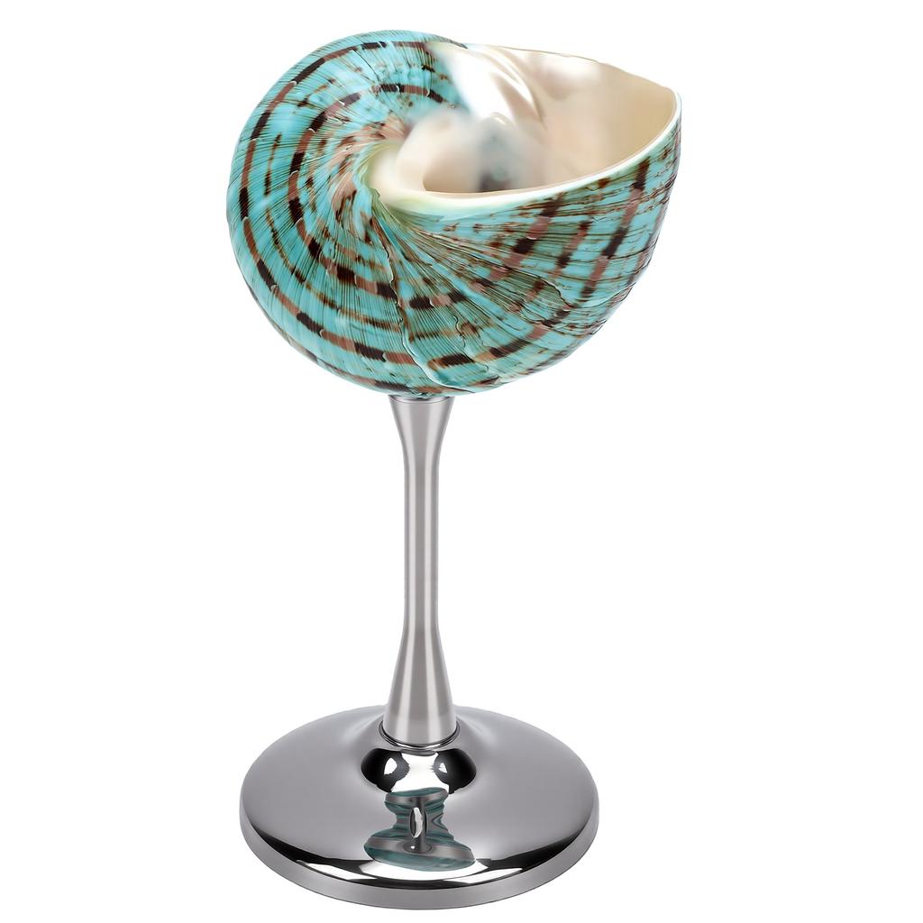 Coupe à Vin Coquillage Unique Élégant Calice Coquillage Verres à Cocktail pour Anniversaire Mariage Anniversaire Fête