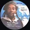 7inch Record PETER BROGGS  Higher Ises LRS05 Lush Records 2004 Sweden Reggae Ska  Dub Used
