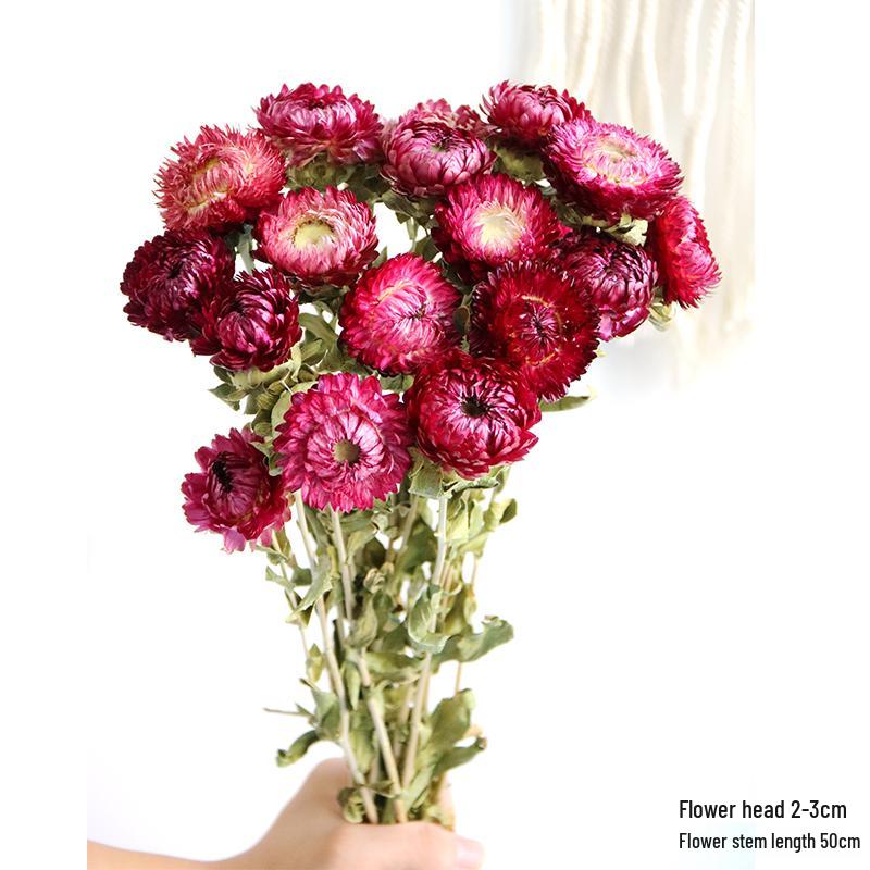 Daisy Dried Flower Bouquet for Living Room and Bedroom Décor - Natural Yunnan Flowers for Display or Photo Props