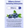 LACFIDO Teenieping Kids Bilberry Stick 12 packets  X 3BOX SET 36-day supply Supplement in sweet Bilberry flavor