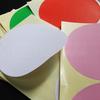 Large 100mm Colorful Round Adhesive Dot Labels - Blank Classification Stickers