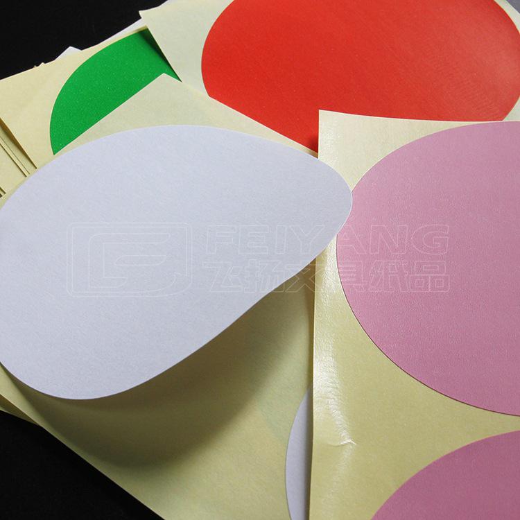 Large 100mm Colorful Round Adhesive Dot Labels - Blank Classification Stickers