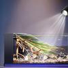 Adjustable Fish Tank Clip Lamp USB Fish Tank Lights New LED Aquarium Light  Home Decorations