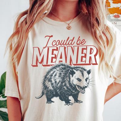 Ich könnte gemeiner sein Comfort Colors® T-Shirt, Vintage Opossum T-Shirt, Lustiges Retro-Shirt, Sarkastisches Grafik-T-Shirt, Lustiges Ästhetik-Shirt für Frauen