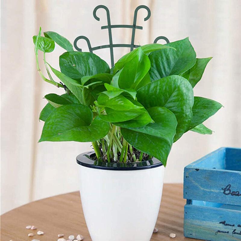 2 stk Mini Hage Dyrking Plante Klatrestativ Espalier Grønnsaker Blomster Støtte Plantepotte Ramme Hagedekorativ Plantebur