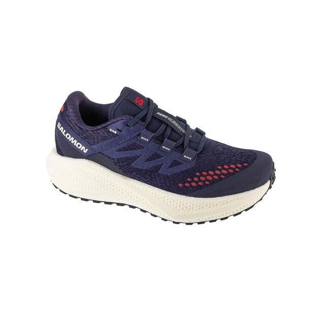 Беговые кроссовки Salomon Aero Glide 3 GRVL EU 42_2_3