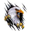 Car Sticker - AIMOONSA - 3D Eagle - Black - Resistant PVC Vinyl - Removable Without Residue