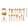 30Pcs Vintage Irregular Plant Floral Stickers DIY Craft Scrapbook Journal Diary Decor Supplies