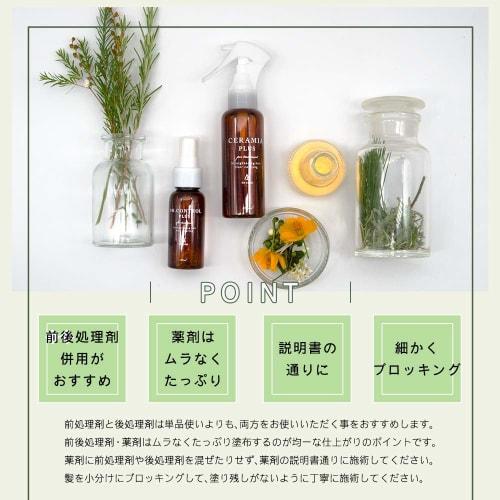 Hair Straightening Starter Set, Quasi-drug, Hair Straightening Agent, Pre- and Post-treatment Agent, Pre-treatment Agent, Post-treatment Agent, Hair C