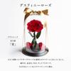 Amorosa Moderno Preserved Flower Destiny Rose Bright Red (Single Stem)