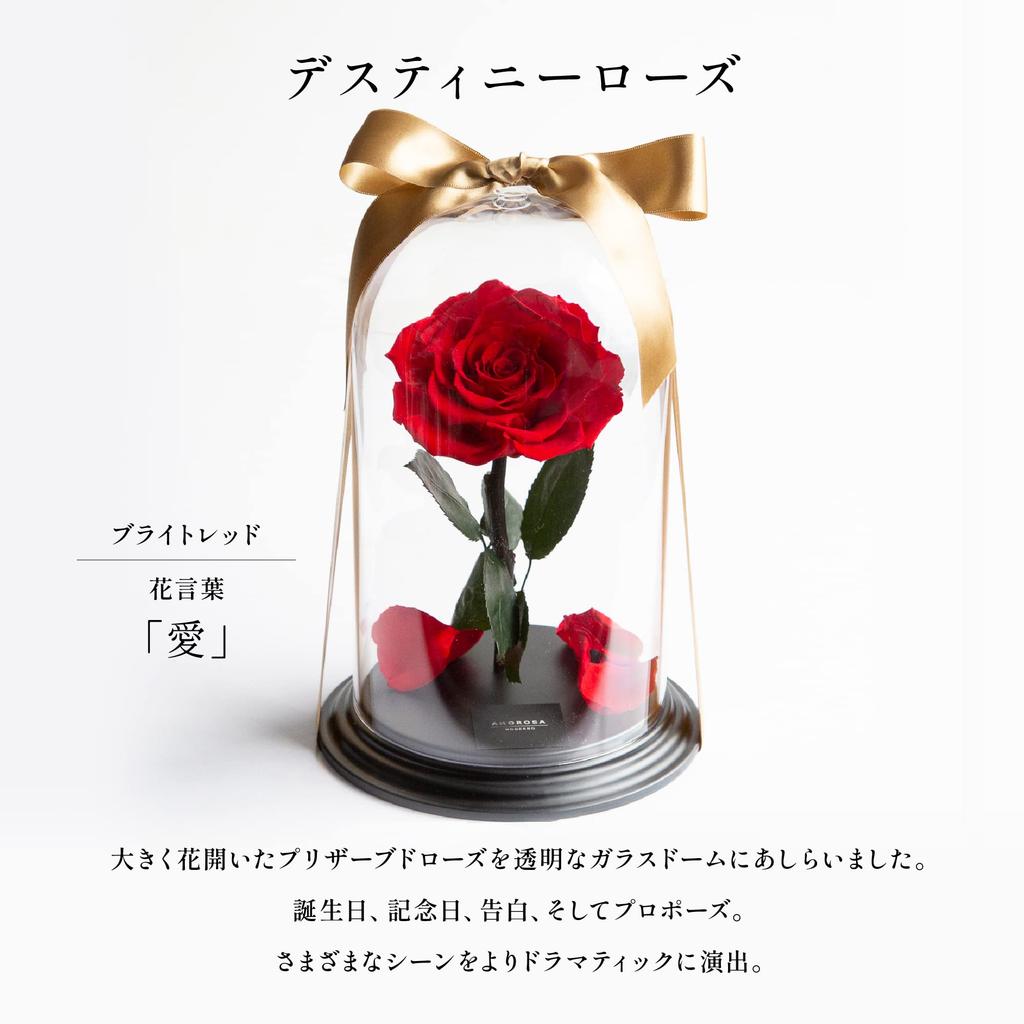 Amorosa Moderno Preserved Flower Destiny Rose Bright Red (Single Stem)