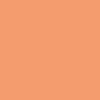 Glossy Water-based Porcelain Paint - Mango - 45 Ml