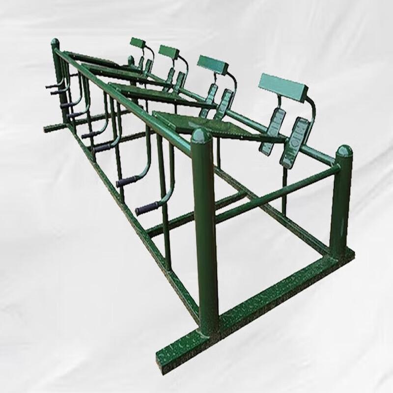 Multi-Station Back & Core Fitness Trainer