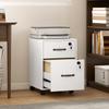 Mobile Office Pedestal, 2 Drawers, Casters, Hanging Letter-Size Documents, White