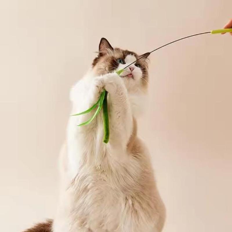 Cat toys, dog tail grass teasing cat pole feather pole wire cat toys, feather pole, flexible wire durable pet supplies