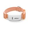 Professional GPS Tracker GPS Collar Waterproof Real Time Locator for Pets