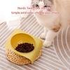 Pet Dishes Bowl Single Bowl for Cats Small Dog Food Water Bowl Feeder