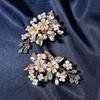 2PCS Crystal Shoe Clips Wedding Bridal Shoe Buckles Rhinestones Shoe Flowers for Party Decoration Wedding Craft Acces