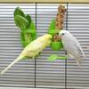 Parrot Cuttlefish Bone Feeder Set – for Budgie, Lovebird, Cockatiel! Fruit Veg Foraging Station with Perch, Calcium-Enriched