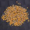 1000Pcs Monolithic Capacitor InLine Ceramic 100PF 5.08mm Lead Pitch DC50V 10% Deviation