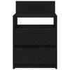 Nightstand with 2 Drawers Black 40 x 33 x 60 cm