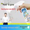 Yasen Multi-Surface Mold Remover