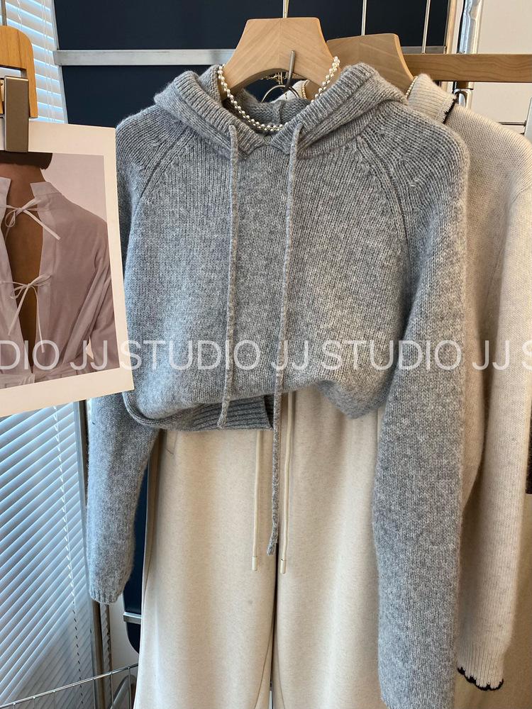 Shop Owner's Favorite: Korean Dongdaemun Chic Hooded Wool Knit Sweater for Women