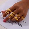 European & American Retro Feather Flower Titanium Ring - Women's French Fashion Light Luxury Geometric Weave Jewelry