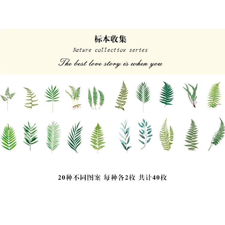 40pcs Natural Stickers Journaling Stationery Transparent PET Flowers Leaves Plants Deco Stickers