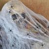 Spooky Halloween Yard Decors Spooky Halloween Party Accessory Skull Ornament with Cobweb and Sound Interaction