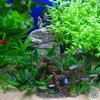 Simulation Castle Fish Tank Landscaping Ornaments