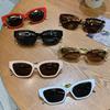 Women Korean Style Fashion Sunglass Small  Frame Glasses Trendy Female Hip-hop Colorful Cat Eye Eyewear