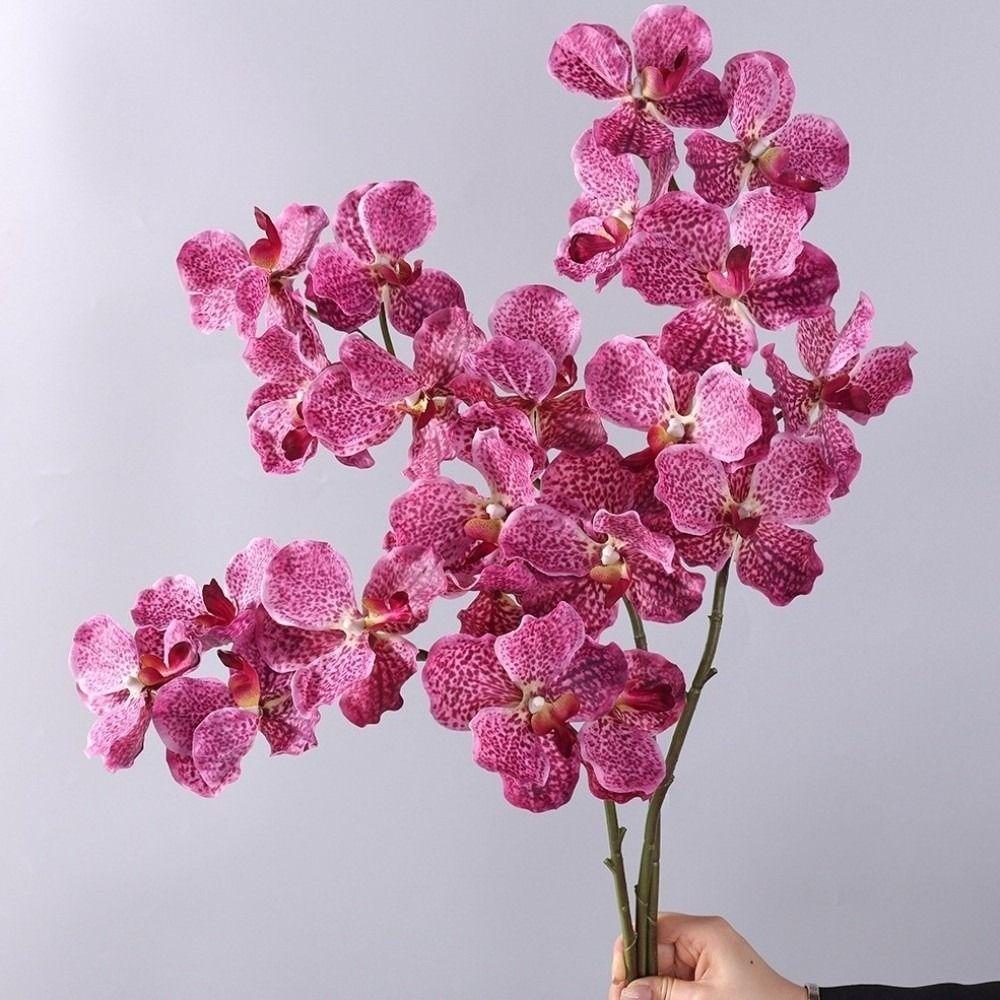 Plastic Phalaenopsis Branch Moisturizing Real Touch Orchids Simulation Flower  Office Decor