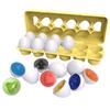 Sorter Fun Matching Egg Educational Learning Toys Puzzle 12x Set