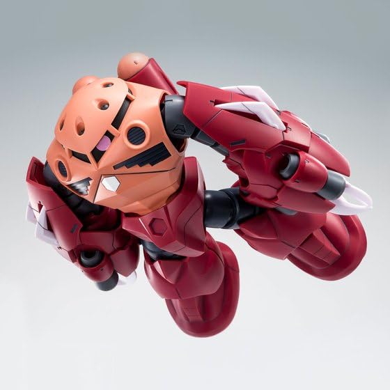 HG Gock 1/144 Amazing's