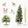 Foxes Forest Wall Stickers Xl Children'S Room Decoration
