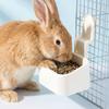 Non Tip Over Rabbit Food Bowl Bite Resistant Hamster Food Container  Indoor Pet Feeding