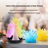 DIY Crystal Planting Science Kit for Primary Students - Educational Experiment Toy