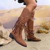 Fashion Women Shoes Bohemian Outdoor Mid-calf Boots Women 2024 New Winter Fashion Faux Suede Ethnic Tassel Woman Boots Botas De Mujer