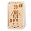 Organ Model Montessori Jigsaw Puzzle Human Structure Human Structure Toy  Science Learning