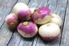 SAFLAX Organic - Turnip - Milan Purple - 600 Seeds - With Potting Substrate for Better Cultivation - Brassica Rapa