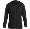 Куртка Icebreaker 260 Quantum Hoodie