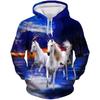 Adult Print Sweatshirt Pullover Coat Star Cosplay War Hoodie Plus Size 5XL Clothing